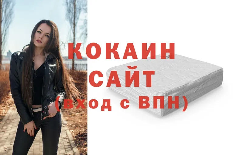 сколько стоит  Новороссийск  COCAIN Fish Scale 